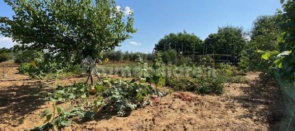 Terreno en Grosseto, Italy 10000 m² No. 297882 5