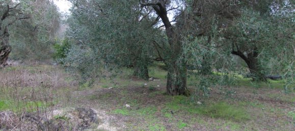 6400m² Hotel in Corfu, Greece No. 5916 2