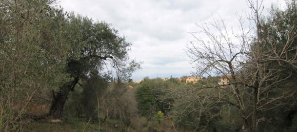 6400m² Hotel in Corfu, Greece No. 5916 10