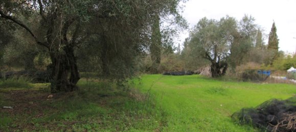 6400 m² hotel en venta en Corfu, Central Corfu and Diapontian Islands, Corfu, Ionian Islands, Peloponnese, Western Greece and the Ionian, Greece № 5916 6