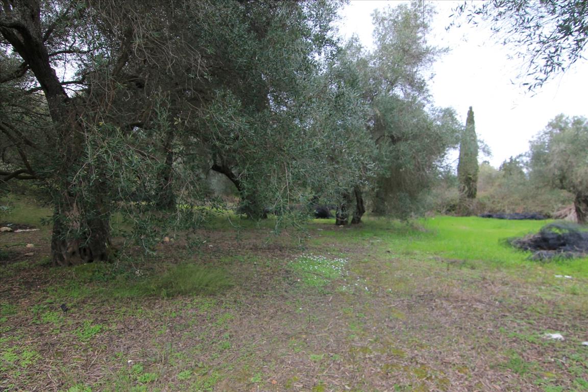6400 m² hotel en venta en Corfu, Central Corfu and Diapontian Islands, Corfu, Ionian Islands, Peloponnese, Western Greece and the Ionian, Greece № 5916