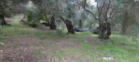 6400m² Hotel in Corfu, Greece No. 5916 5