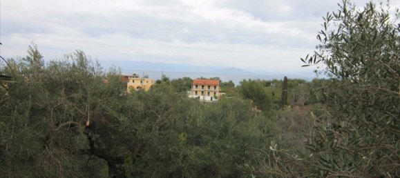 6400m² Hotel in Corfu, Greece No. 5916 16