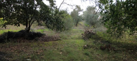 6400m² Hotel in Corfu, Greece No. 5916 9