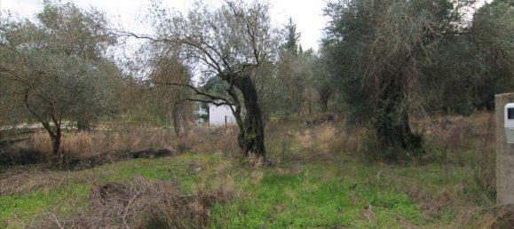 6400m² Hotel in Corfu, Greece No. 5916 4