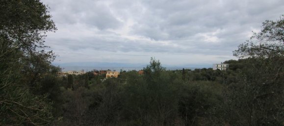 6400m² Hotel in Corfu, Greece No. 5916 18