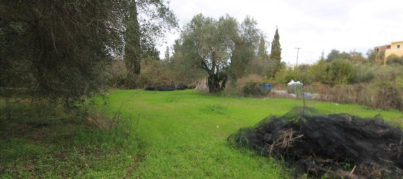 6400m² Hotel in Corfu, Greece No. 5916 8