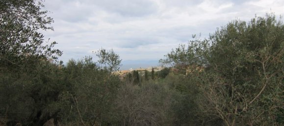 6400m² Hotel in Corfu, Greece No. 5916 14