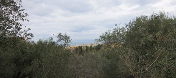 6400m² Hotel in Corfu, Greece No. 5916 15