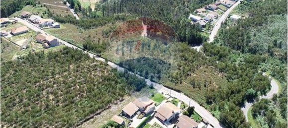 Земельный участок 36825м² в Санта Мария да Фейра, Португалия № 64375 10