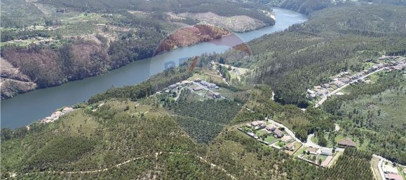 Земельный участок 36825м² в Санта Мария да Фейра, Португалия № 64375 6