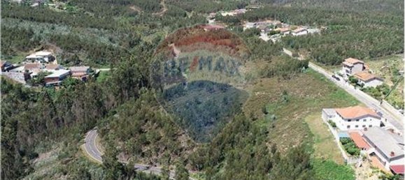 Земельный участок 36825м² в Санта Мария да Фейра, Португалия № 64375 8