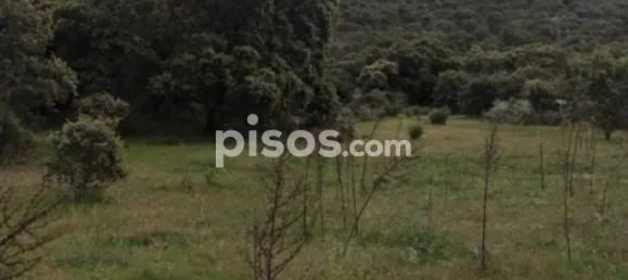 قطعة أرض في Caceres, Spain 8179متر مربع رقم 142474 5