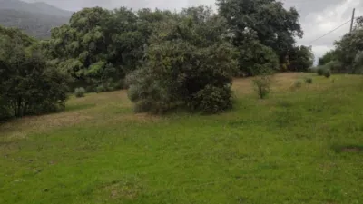  قطعة أرض في Caceres, Spain 8179متر مربع رقم 142474