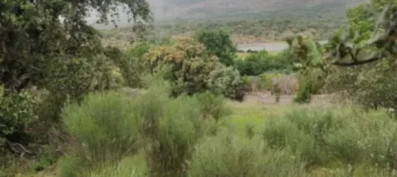 قطعة أرض في Caceres, Spain 8179متر مربع رقم 142474 3