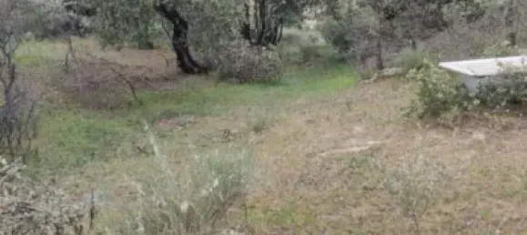 قطعة أرض في Caceres, Spain 8179متر مربع رقم 142474 2