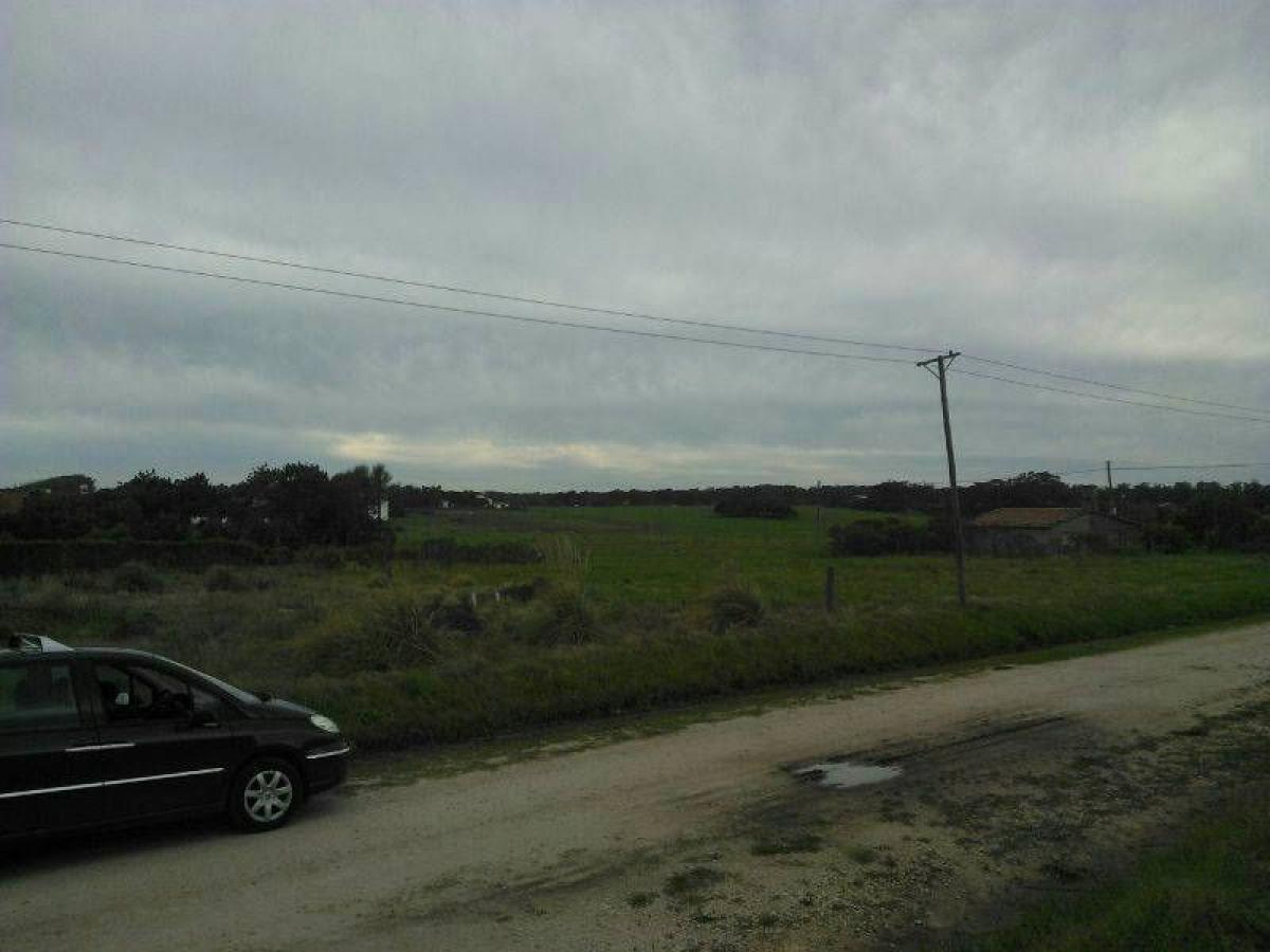  قطعة أرض في Mar del Plata, Argentina رقم 118592