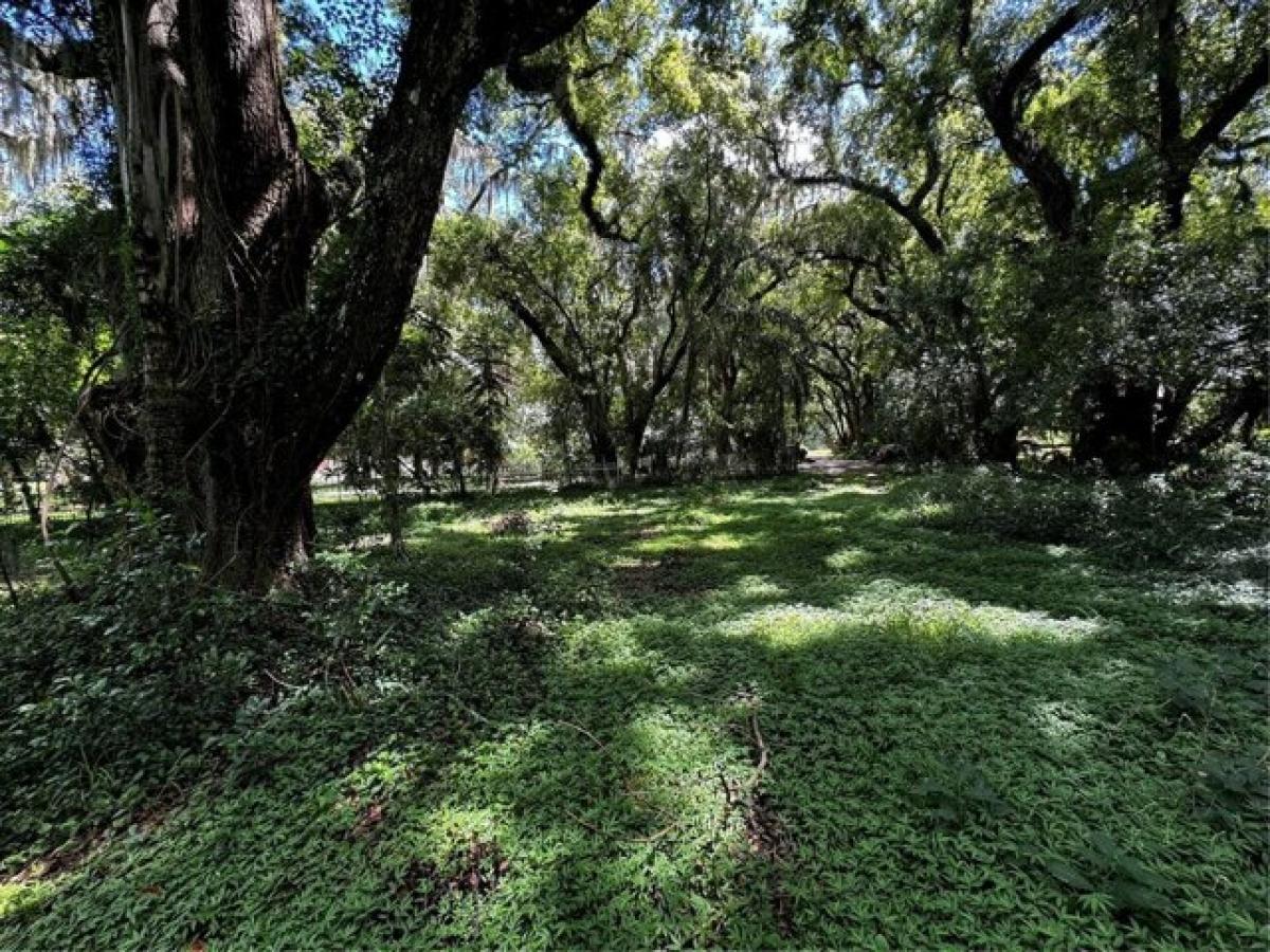  Land in Mount Dora, USA No. 484522