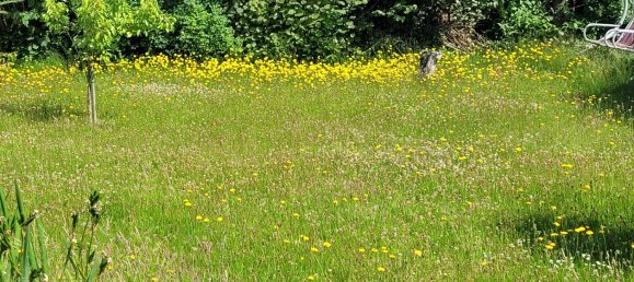 Дом с 2 спальнями в Дитмаршен, Германия № 343640 2