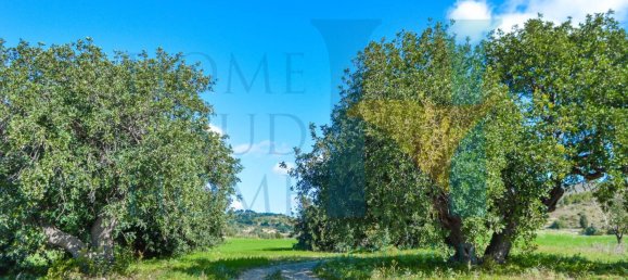 7 Schlafzimmer Haus in Noto, Italy, Nr. 89673 10