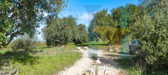 7 Schlafzimmer Haus in Noto, Italy, Nr. 89673 9