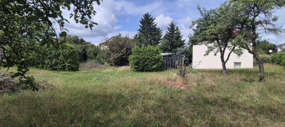 3-Zimmer Haus in Oder-Spree, Germany, Nr. 360190 4