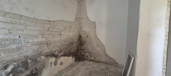 3-Zimmer Haus in Oder-Spree, Germany, Nr. 360190 10