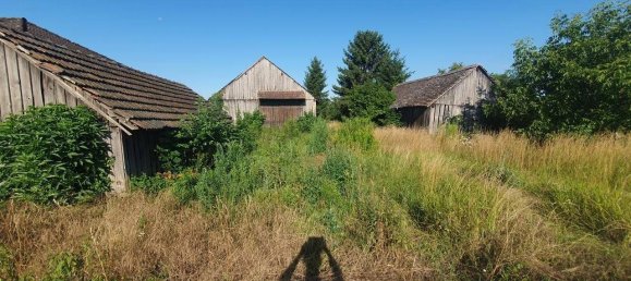 Grundstück in Großweikersdorf, Austria, Nr. 148427 2