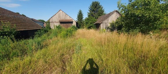 Grundstück in Großweikersdorf, Austria, Nr. 148427 3