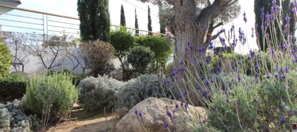 4 bedrooms Villa in Paphos, Cyprus No. 1617 3