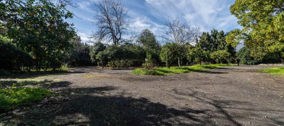 8-salle Propriété commerciale à Mascali, Italy No. 121818 14