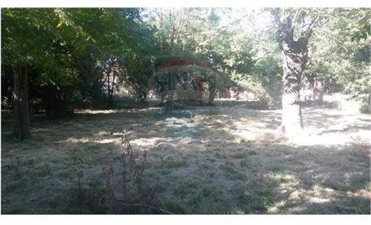  Land in San Vicente, Argentina No. 41552