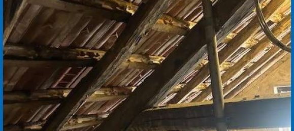 3 chambres Maison à Merzig-Wadern, Germany No. 277872 18