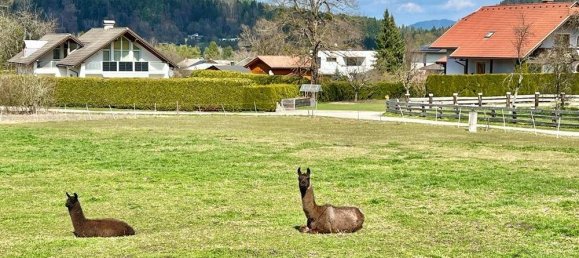 2 غرف نوم عقار تجاري في Finkenstein am Faaker See, Austria رقم 190920 11