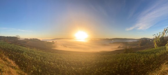 2 Schlafzimmer Bungalow in Kukmirn, Austria, Nr. 194569 28
