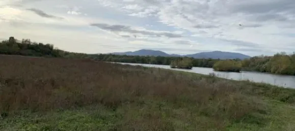 Terrain à Ensisheim, France 525m² No. 86939 2