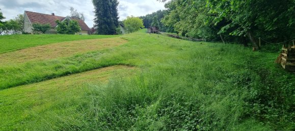 Grundstück in Hohenweiler, Austria, Nr. 165568 14