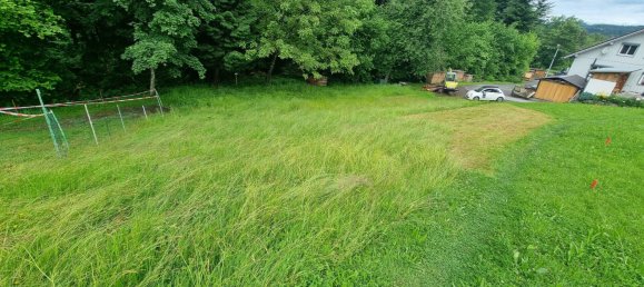 Grundstück in Hohenweiler, Austria, Nr. 165568 10