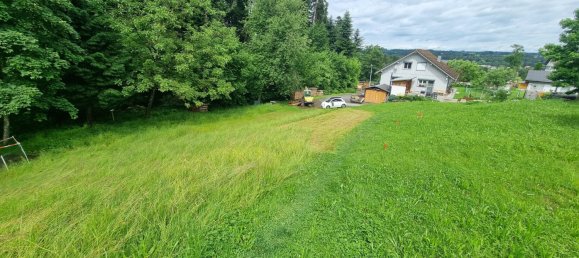 Grundstück in Hohenweiler, Austria, Nr. 165568 3