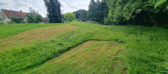 Grundstück in Hohenweiler, Austria, Nr. 165568 12