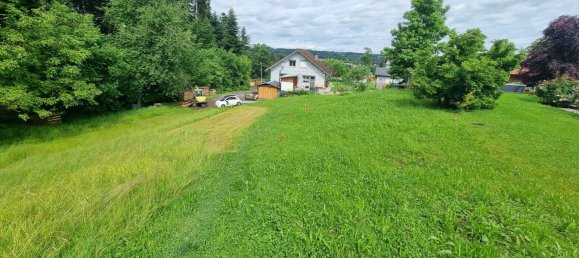 Grundstück in Hohenweiler, Austria, Nr. 165568 5