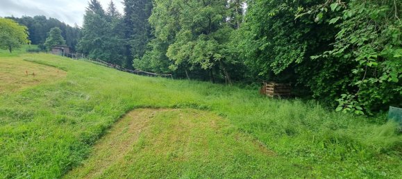 Grundstück in Hohenweiler, Austria, Nr. 165568 17