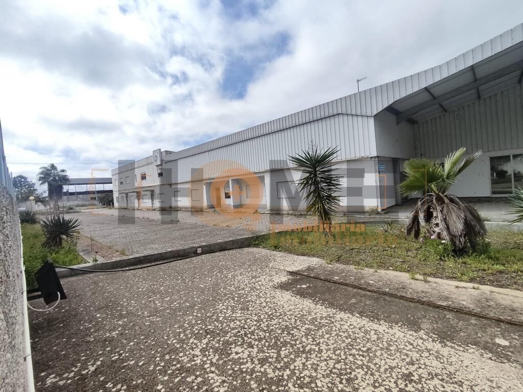 5460m² Warehouse in Muge, Portugal No. 343482