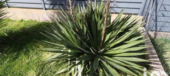 3 chambres Maison à Inzinzac-Lochrist, France No. 269207 11