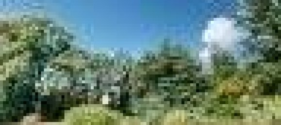 2 chambres Villa à Sassello, Italy No. 279840 25