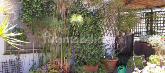 3 غرف نوم بانتهاوس في Palermo, Italy رقم 252133 18