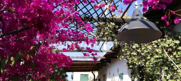 3 غرف نوم بانتهاوس في Palermo, Italy رقم 252133 15