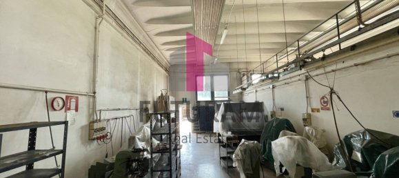 3 rooms Warehouse in Fossò, Italy No. 281485 4