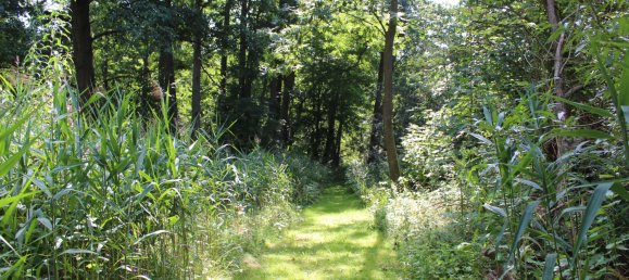 4 غرف نوم منزل في Ostprignitz-Ruppin, Germany رقم 50990 10