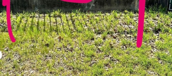  مرآب في Milan, Italy 10متر مربع رقم 255177 5